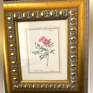 Botanical Gold Vintage Wooden Picture Floral Frame Botanical Quality Final Sale